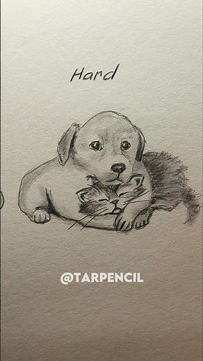 How to draw Cat & Dog (easy, medium, hard) ✏️ #drawing #art #tutorial #howtodraw #sketch #cat #dog