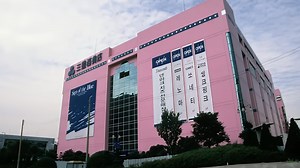 Collapse that exposed South Korea’s deadly corruption