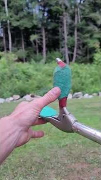 Best Snake handling hack for your tools. Finger Tape! Check this out!