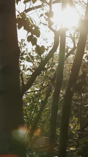 This Sunday! 🎥 Mozza & Max take on the challenge of catching a 40lb carp in just a couple of nights! 🐋 Sunday - 15/02/26 - Fox International Carp Fishing Channel 📺 | Fox International