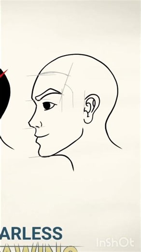 hairline tutorial - how to draw with right proportions