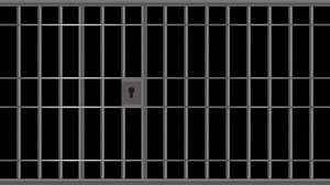 Download Opening jail door animation. Closed jail bars. Prison metal bars animation. Jail door. Prison cell. Transparent background with alpha channel for free