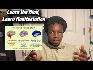How Your Brain Blocks Manifestation (Reptilian, Mammalian, Neocortex Explained)