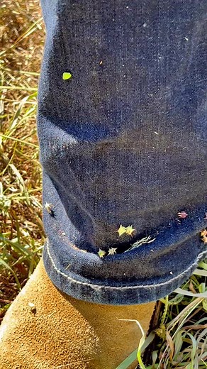 How to Remove Stickers from Clothes and Skin Easily