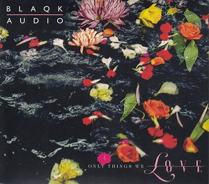 Blaqk Audio - Only Things We Love