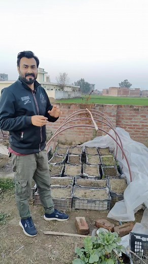 7.3K views · 239 reactions | Seedlings Growing Guide | Paneeri lagane ki Tips #shorts #reels #tips #kitchengardening #organicgardening #fbreels #reels #tmbaagh | TM Baagh | Facebook