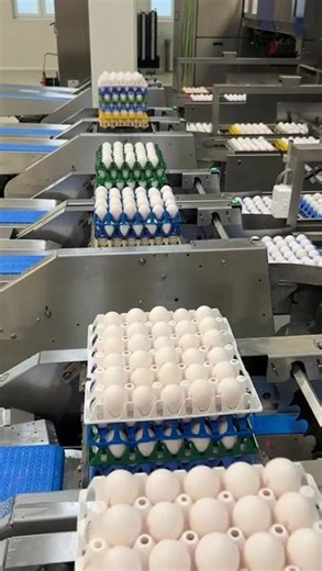 Tray stacker 10x behind an Omnia 500