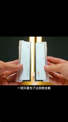 有人買的是性能，有人買的是面子，但我全都要 #內存 #diy裝機 #內存馬甲