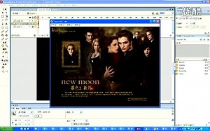 FLASH素材使用说明