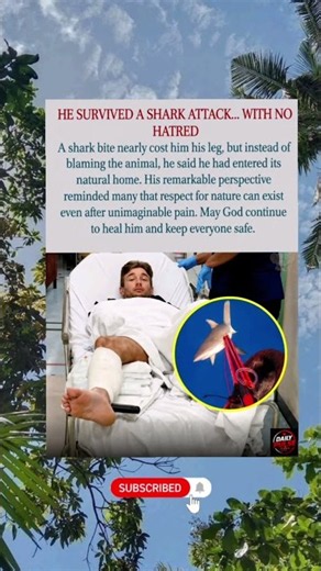 Respect nature, protect life. 🦈 #Shorts #Viral #Inspiration