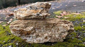 Mica-infused Schist Rocks• Clastic Metamorphic Rock Duo • Decorative Wood‑color Stones - Etsy