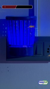 3.3K views · 55 reactions |  Tired of sleepless nights and itchy bites? ⚡ Say goodbye to mosquitoes with our Electric Shock Mosquito Killer Night Lamp! ✨ Silent, safe & effective – the perfect night-time protection for your family. | Home & Kitchen WP | Facebook