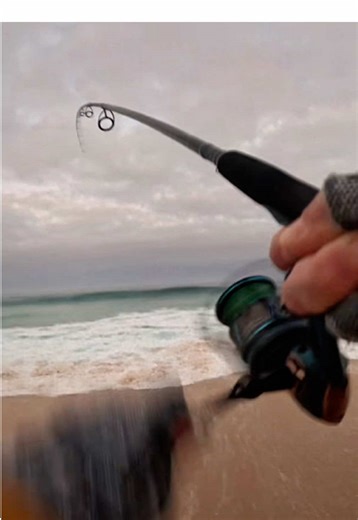 Ultimate Guide to Seabass Fishing in Portugal