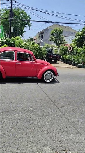 Nice day old Herbi 🚗