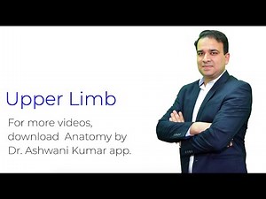 Upper Limb Anatomy - Part 1 NEET PG