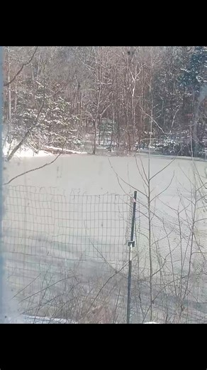 Bugsby1977 (@patriciahorton4)’s videos with original sound - kristy wun