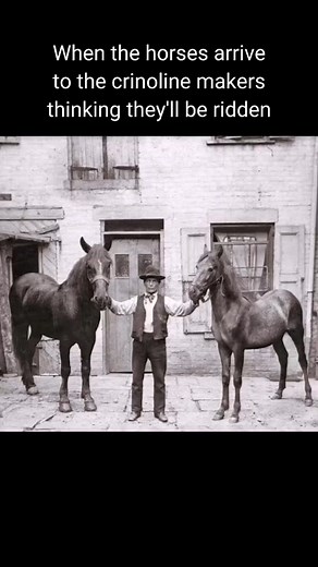 The girls who get it get it #vintagefashion #fashionhistory #historicalfashion #fashionhistorytok #fashionhistorymemes #crinoline #crinolinecage #crinolinedress #crinolinepetticoat #crinolines #1850sfashion #1860sfashion #peterthehorseishere #thehorseishere #horse #horsememes #history #historymemes