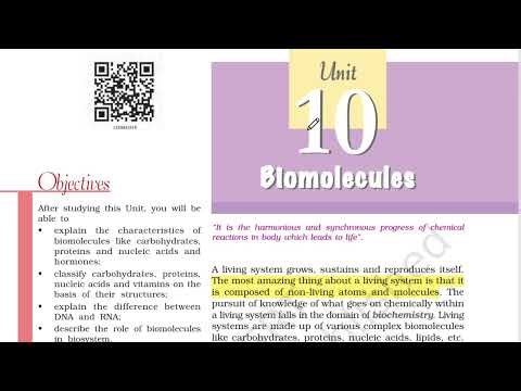 Biomolecules NCERT Explained | Free 4 Marks for JEE Mains 2026 |