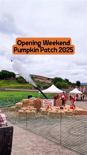 🎉🍂 Opening weekend at the Tanaka Farms Pumpkin Patch was one for the books! From picking pumpkins right off the vine 🎃 to wagon rides, tasty farm food, and our first-ever Irvine Harvest Heroes celebration 🌱 the farm was full of fall magic and community pride. A huge thank you to @mayorlarryagran and everyone who joined us to honor Irvine’s farming families and celebrate the city’s agricultural roots. 🍁 The Pumpkin Patch fun continues all season long, but this weekend was extra special. Here