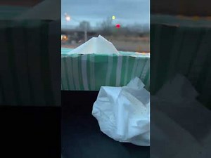 Last weeks Long sneeze attack from spring allergies