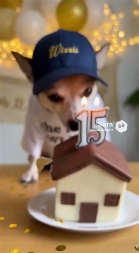 The Real. Estate Wizard