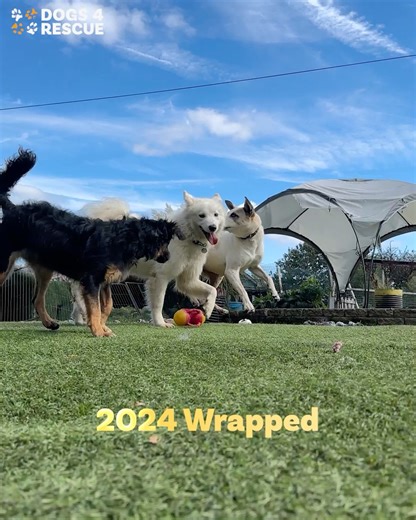 7.4K views · 1.6K reactions | Well that's a wrap on 2024 at our...