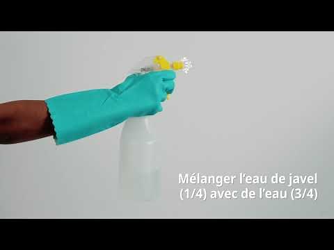 Comment enlever une tache de moisissures sur votre mur | Cleanipedia
