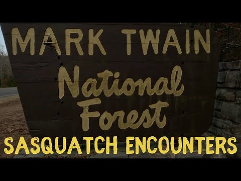BIGFOOT STORIES FROM "THE MARK TWAIN NATIONAL FOREST"