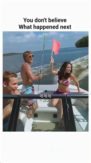 Movie: Shark Night | 2011 #shortvideo #movie #viralvideo