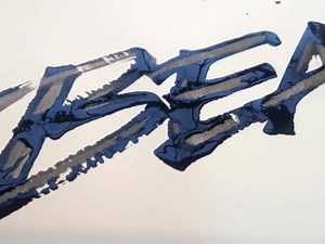 60K views · 1K reactions | Beast | Seb Lester | Facebook