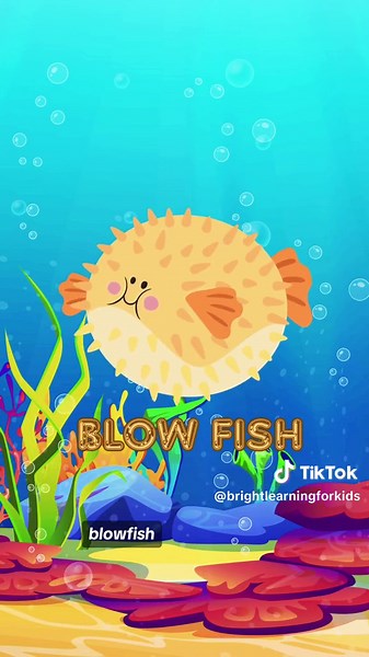 Bright Learning For Kids on TikTok