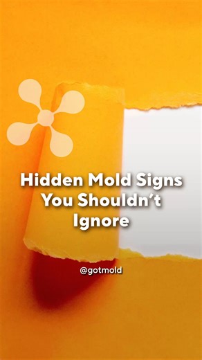 Hidden Mold Signs You Shouldn’t Ignore Mold often reveals itself through sneaky health issues: chronic fatigue, fibromyalgia, and more. Don’t overlook the signals your home might be sending. #MoldAwareness #HealthyHome #MoldPrevention #indoorairquality #healthtips #Wellness | GOT MOLD?