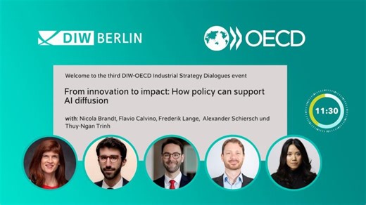 From Innovation to Impact: How Policy Can Support AI Diffusion | DIW Berlin - German Institute for Economic Research