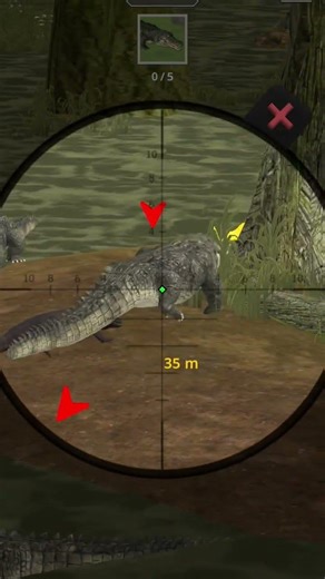 Animal Hunter Gameplay Walkthrough on Android phone 🤳🤳🤳