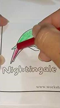 Easy & Fun Sketching for Beginners 🎨🖌️