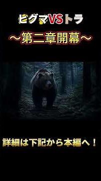 【トラVSヒグマ】夜の森なら勝者は変わる？最強猛獣の頂上決戦｜第二章 #トラ #ヒグマ #動物対決 #最強動物 #動物