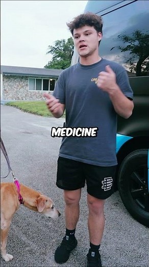 Jack Changes Abused Dog's Life...