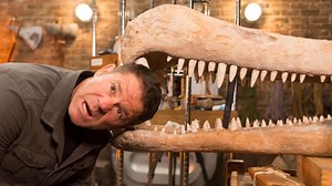 Steve Backshall takes on the dinosaurs