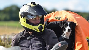 87K views · 539 reactions | You're going to want to check this out. Watch until the end: | The Pack Track | Facebook