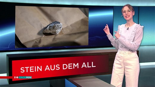 ZIB Zack Mini vom 10.03.2026