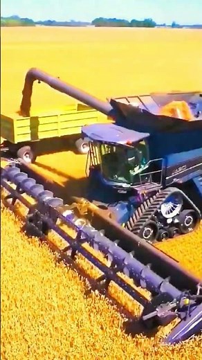 Combine Harvester in Action!!!