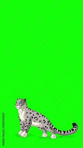 Snow leopard chroma key 2D animation Vertical video
