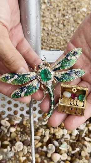 Underwater Treasure Jackpot Stunning Gem Dragonfly Brooch Found! 😱💎 #shorts