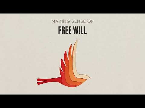 Making Sense of Free Will