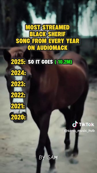 Explore the Most Streamed Black Sherif Songs Yearly
