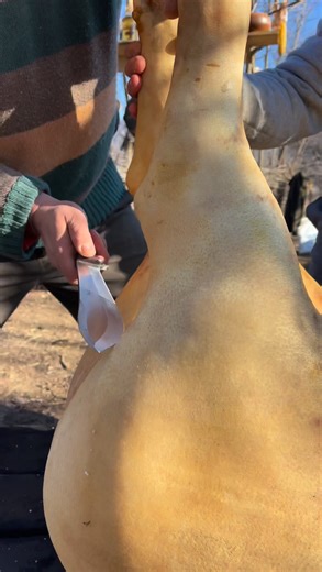 Fast cut #pork | Wildfire Cooking