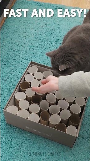 5 minutes of your time and lots of fun for your cat 😺 🎉