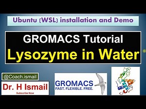 Lysozyme in Water using GROMACS on Windows (WSL) | MD Simulation Tutorial for Beginners: Part 8