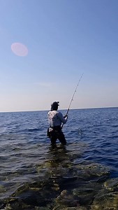 78K views · 11K reactions | The Ledge Never Forgives Weak Gear Rod : Höwk bullfighter 150 @howkfishing Hook’s : BKK Raptor-Z 0/4 @bkk_arabia With @7.seascharter #fishing #nature #sea #pesca #fyp | Mohssine Fishing | Facebook