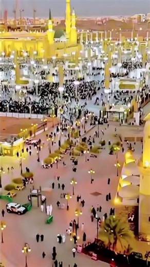 #duet #motivation #love #alvidamaheramzanowaisrazaqadri #lovedance #unfrezzmyaccount #pawarholakhali